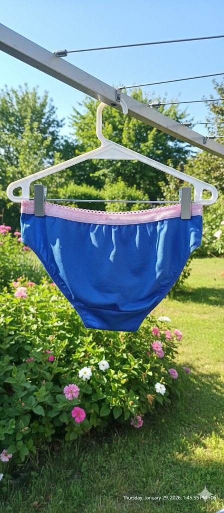 Thumbnail for Ladies Panty